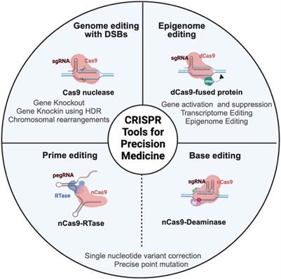 Applications of CRISPR-Cas9 for advancing precision medicine in oncology: from target discovery to disease modeling